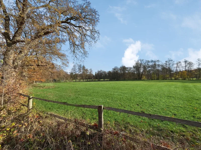 Blick auf die Wiese - Grundstück kaufen in Salzhausen - Grünfläche in Luhmühlen - Salzhausen, direkt an der Luhe gelegen