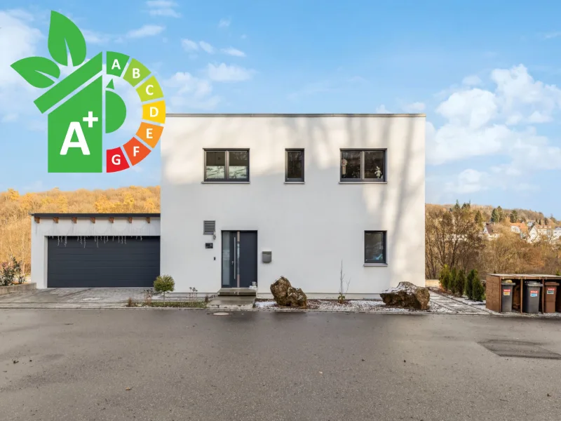 Außenansicht - Haus kaufen in Amberg - Modernes Einfamilienhaus mit unverbaubarem Blick in Amberg