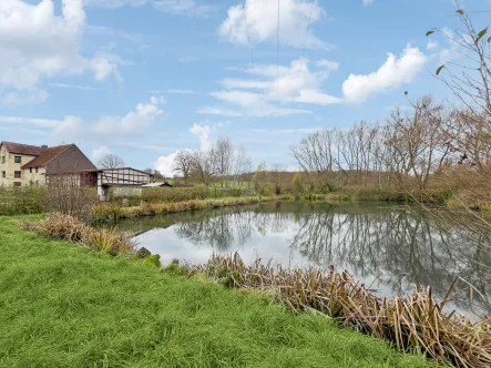 Titelbild - Haus kaufen in Arnstein - Ein Haus am Teich - naturverbunden Leben mit der Familie