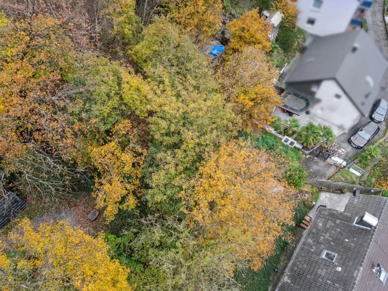 Blick auf das Grundstück 4