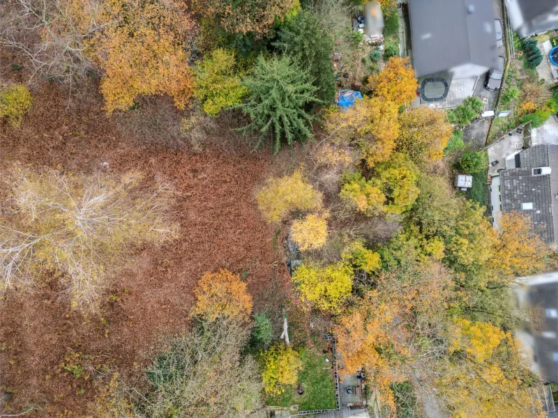 Blick auf das Grundstück 1 - Grundstück kaufen in Wuppertal - Großzügiges Baugrundstück in Wuppertal-Langerfeld