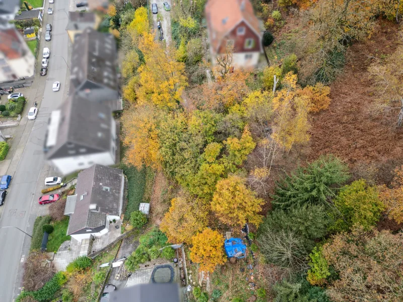 Blick auf das Grundstück 3