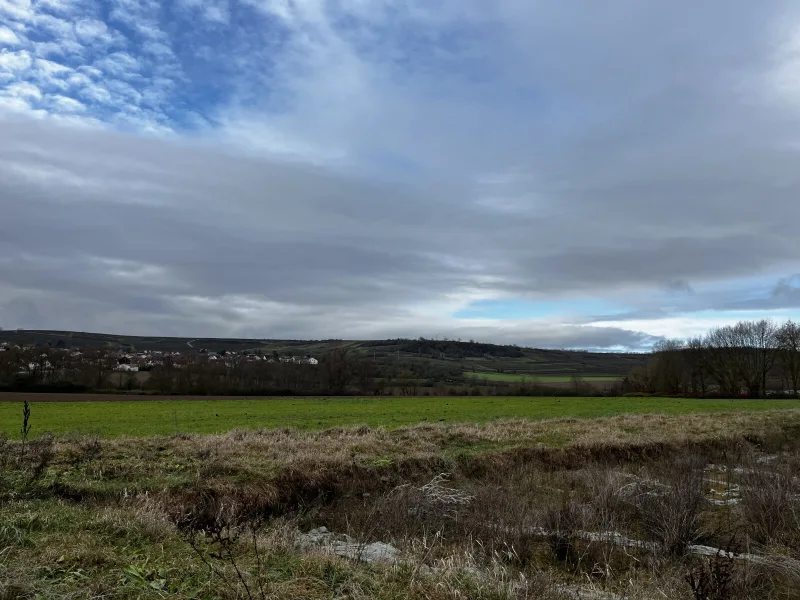 Blick aus dem Küchenfenster