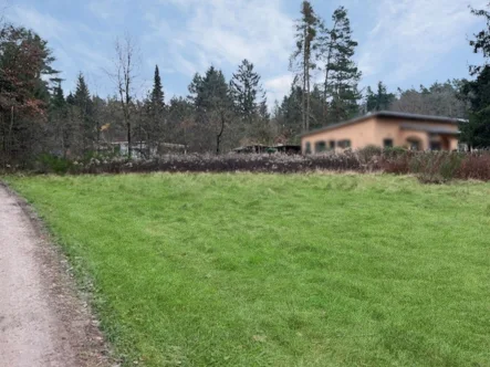 Titelbild - Grundstück kaufen in Schwarzenbruck - Naturliebhaber aufgepasst: Weitläufiges Grundstück für Wochenendhaus in Schwarzenbruck Pfeifferhütte