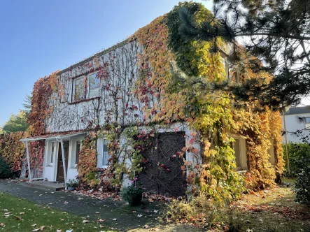 Titelbild - Haus kaufen in Zingst - Ruhige Strandnähe trifft auf vielseitiges Wohn- und Investitionspotenzial