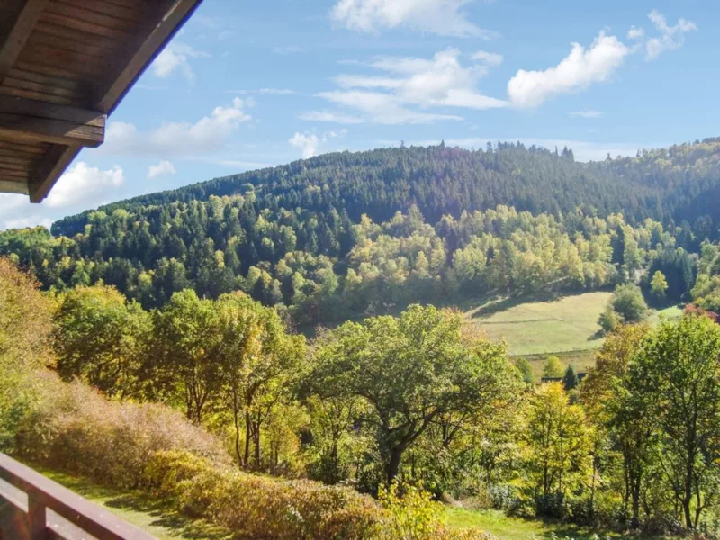 Balkonausblick - Wohnung kaufen in Winterberg - Ruhig gelegene 2-Zimmer-Wohnung mit traumhaftem Ausblick in 59955 Winterberg