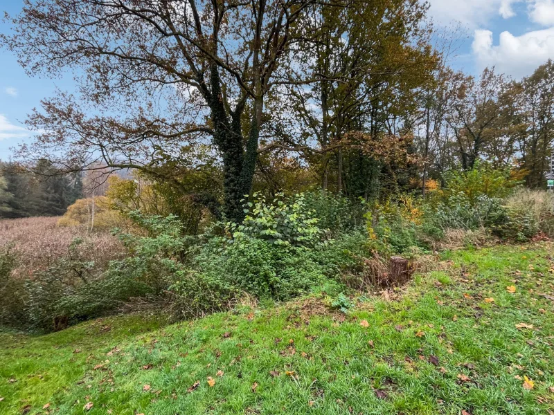 Baugrundstücke - Grundstück kaufen in Münchweiler an der Rodalb - Baubeginn sofort möglich: Zwei erschlossene Grundstücke in Münchweiler