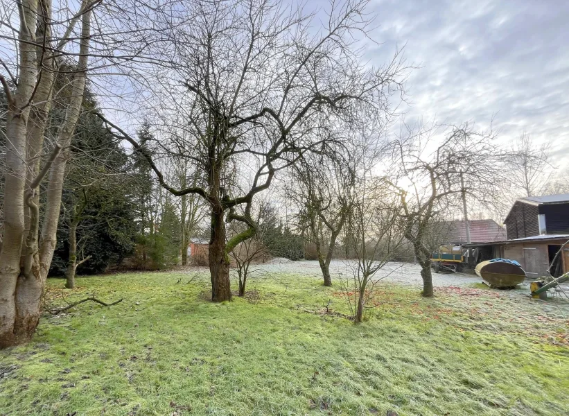 Grundstücksansicht - Grundstück kaufen in Cammin - Grundstück vor den Toren Rostocks - in Cammin / Ortsteil Prangendorf 