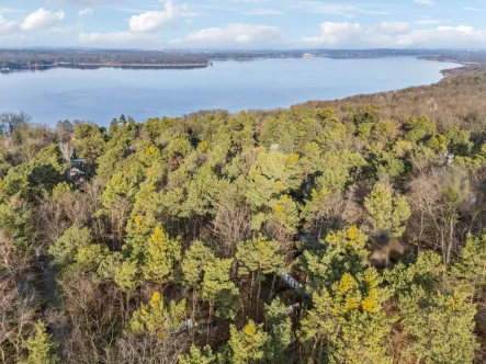 Luftaufnahme - Grundstück kaufen in Schwielowsee OT Ferch - Absolute Ruhe am Schwielowsee genießen! Ca. 1.060 m² großes Waldgrundstück in Ferch!