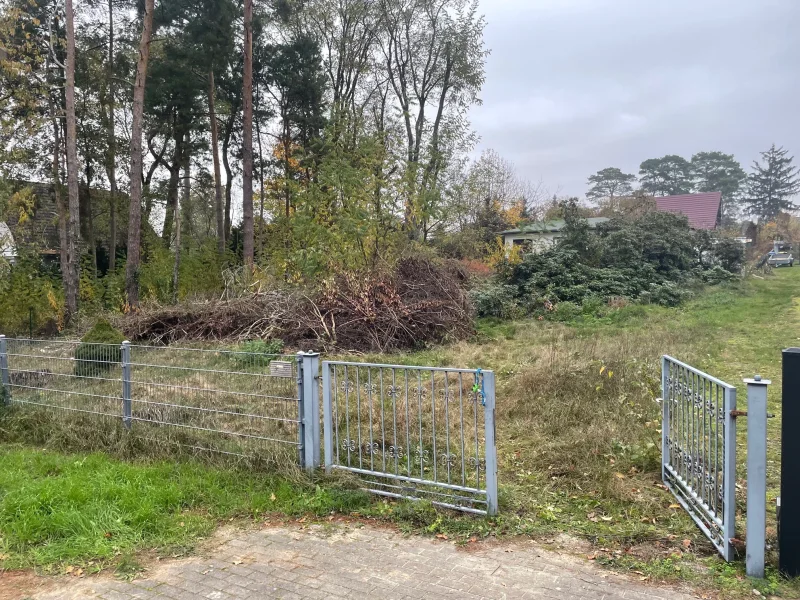 Titel - Grundstück kaufen in Altlandsberg - Seltene Gelegenheit! Wunderschönes, vollerschlossenes Baugrundstück mit Altbestand in Altlandsberg