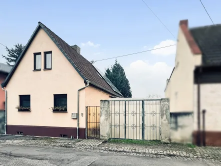 Ansicht - Haus kaufen in Hamm am Rhein - Kleines Zuhause für große Glücksmomente –freistehendes Haus für die kleine Familie