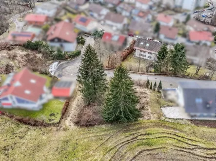 Luftbild - Haus kaufen in Immenstadt im Allgäu - Bebautes Grundstück mit Zweifamilienhaus u. angrenzendes Baugrundstück in Immenstadt im Allgäu