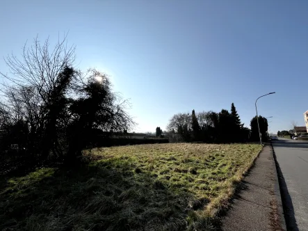 Großes Baugrundstück - Grundstück kaufen in Obersulm - Wunderschön gelegenes Baugrundstück in bester Lage von Obersulm-Willsbach