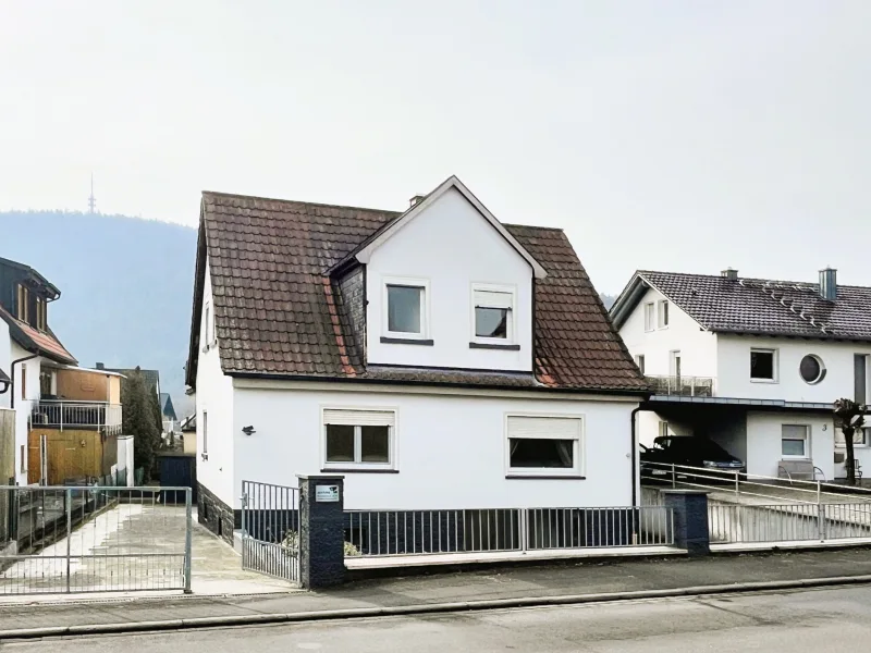 Ansicht - Haus kaufen in Gemünden am Main - Schmuckes Haus für Ihre Familie in Langenprozelten