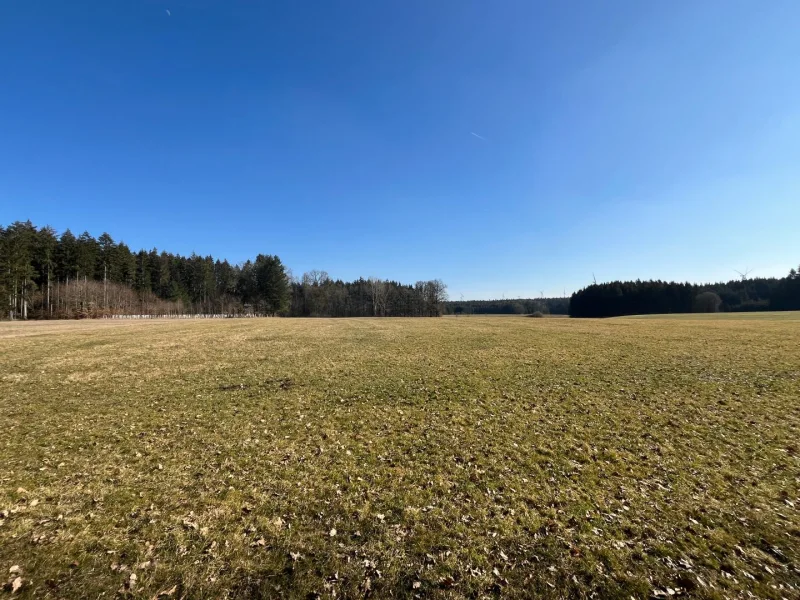 Ansicht - Grundstück kaufen in Raitenbuch - Wiesengrundstück in Raitenbuch - Reuth am Wald