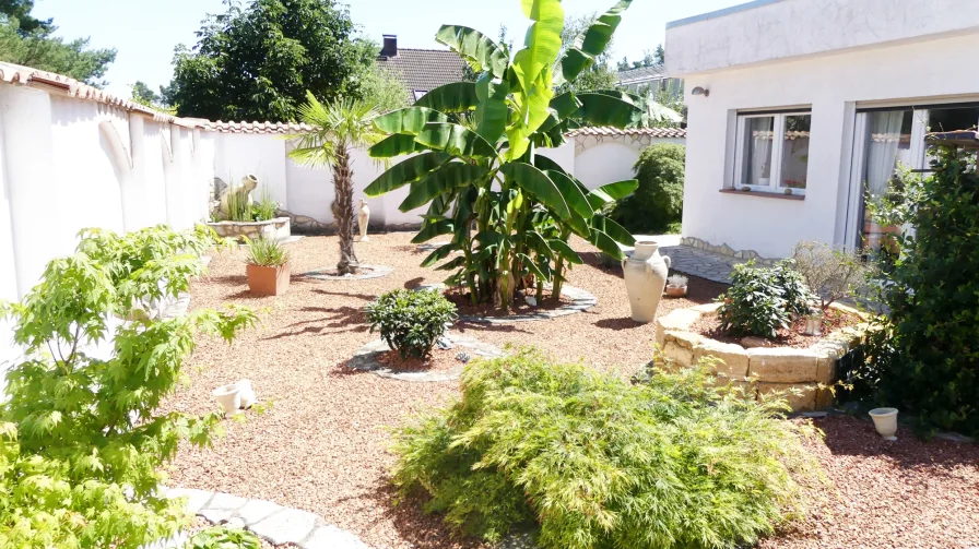 Garten mit Blick zur Einliegerwohnung