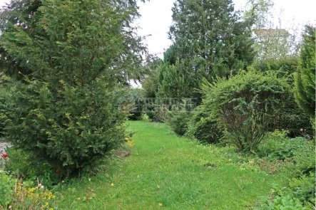 Ansicht - Haus kaufen in Sinzing - Einfamilienhaus mit Einliegerwohnung umgeben von traumhaftem Garten