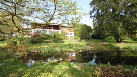 Ansicht Süden - Haus kaufen in Schöllnach - Parkfeeling: Wohnen in Einzellage inmitten von 7.000 m² Parklandschaft