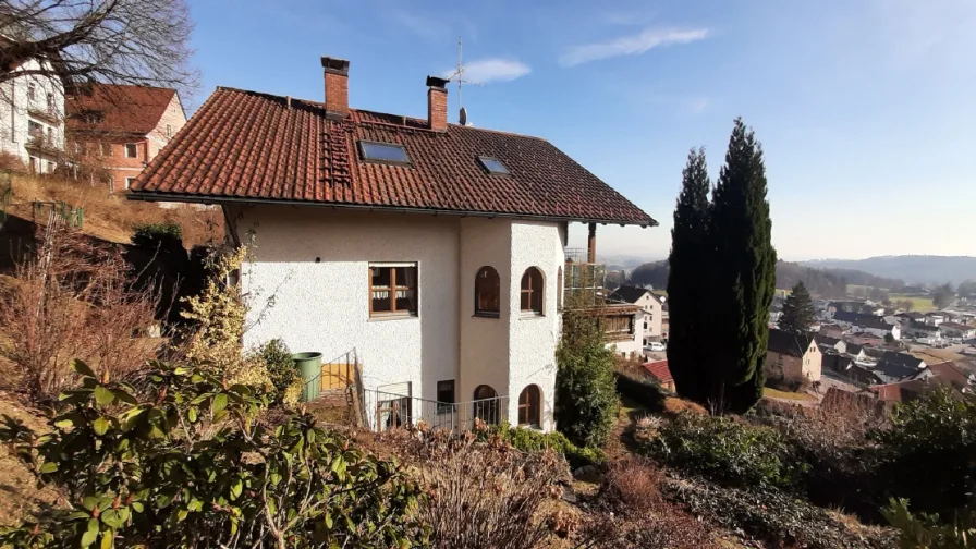 Ansicht Westen - Haus kaufen in Fürstenstein - Blick in die Alpen, Grundstück quasi gratis, EFH mit Einliegerwhg. - 295.000