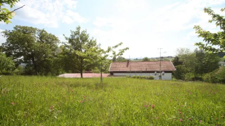 Ansicht von Norden - Haus kaufen in Vilshofen - Fernblick-Einzellage-Anwesen mit 4.800 m² Grund