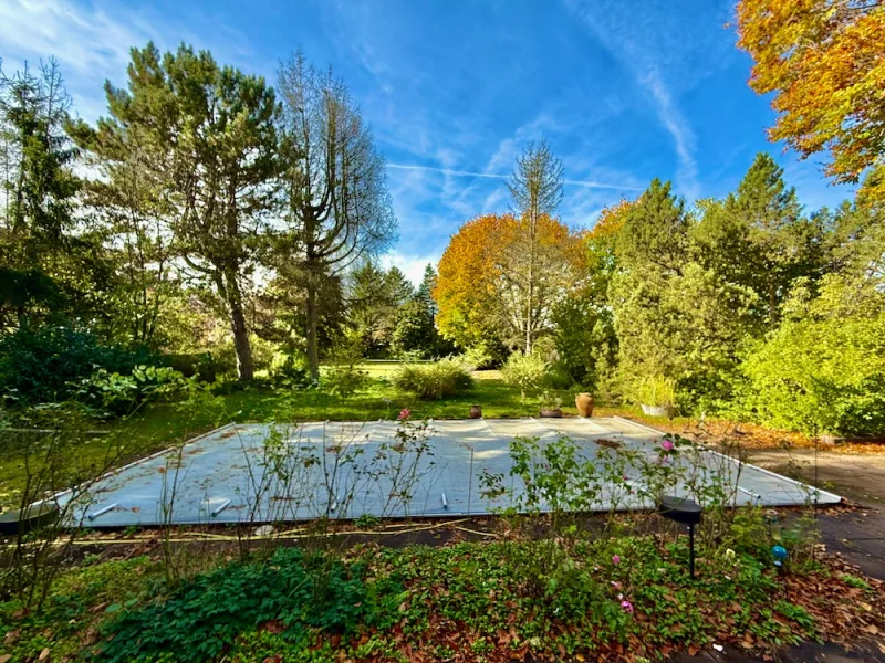 Pool-/Gartenblick