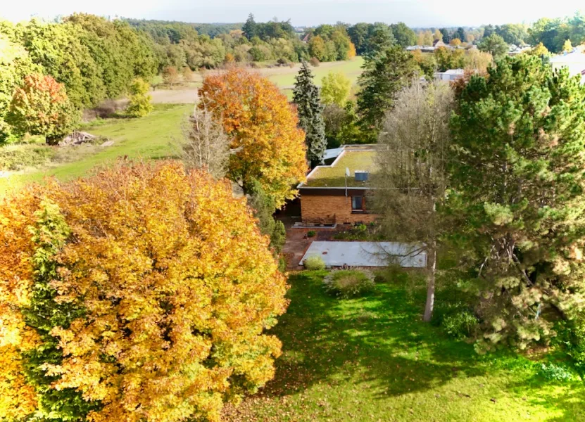 Blick von oben - Haus kaufen in Zirndorf - Bungalow mit 3 Garagen auf großem Anwesen in traumhafter Lage