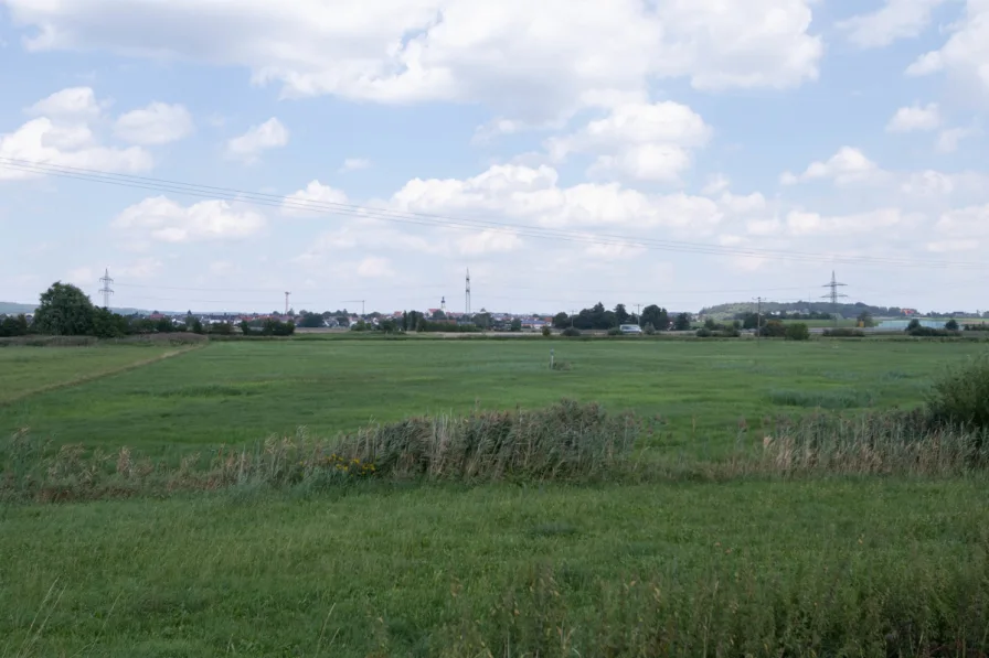 Wiese - Grundstück kaufen in Kösching - Große Wiese - Grünland als Ausgleichsfläche