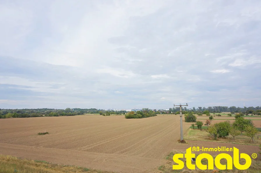 Blick aus dem Fenster - freie Feldrandlage! - Wohnung mieten in Aschaffenburg - IDYLLISCHE LAGE AM FELDRAND *** RENOVIERTE WOHNUNG IN OBERNAU!