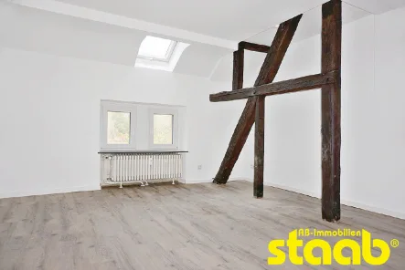 tolles Wohnzimmer! - Wohnung mieten in Aschaffenburg - LIEBEVOLL SANIERTE ALTBAUWOHNUNG DIREKT AM SCHÖNTAL!