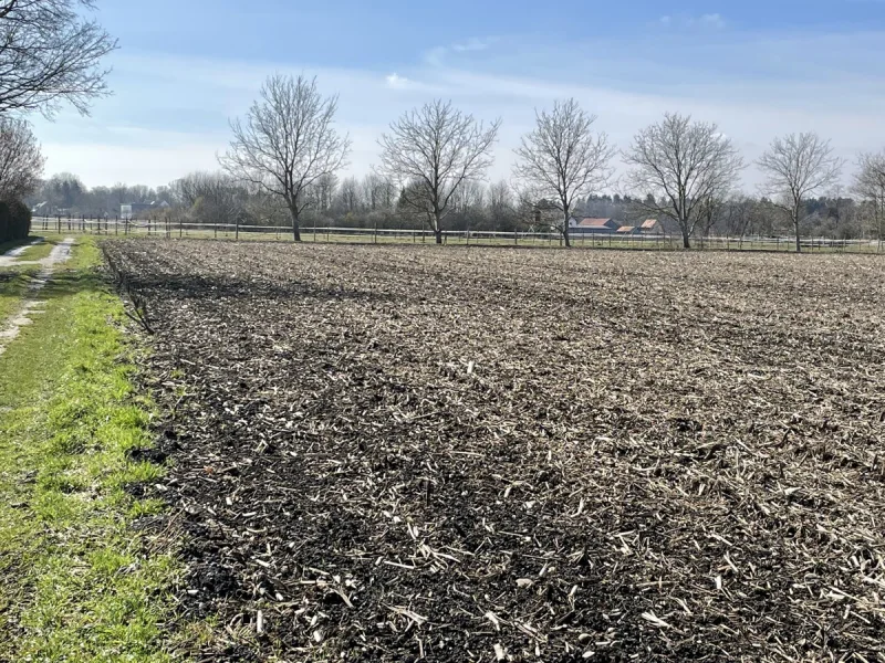 Blick Richtung Südwesten - Grundstück kaufen in Oberschleißheim - 10.000 m² Acker, Landwirtschaftsfläche im  Gemeindegebiet Oberschleißheim zu verkaufen!