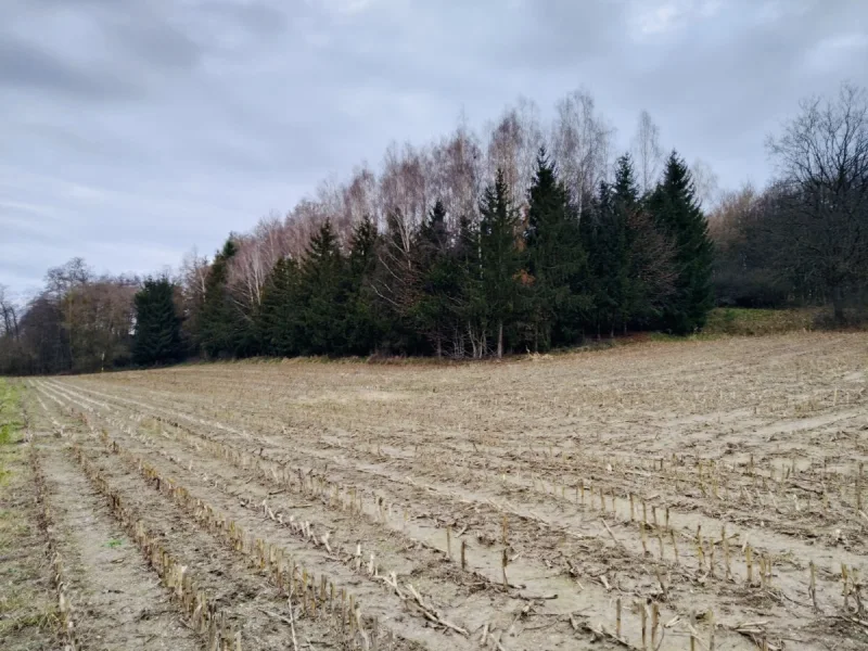 Titelbild - Grundstück kaufen in Pfeffenhausen - Ackerfläche und Wald in der Gemeinde Pfeffenhausen zu verkaufen. Die Fläche beträgt ca. 1,38 ha