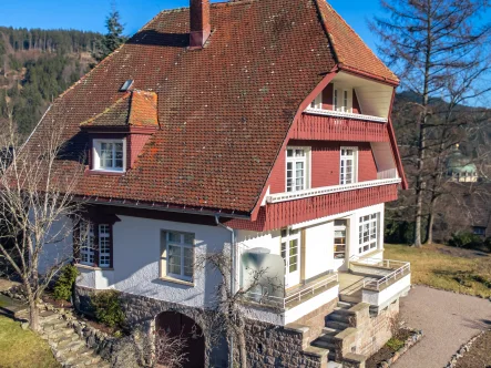  - Haus kaufen in St.Blasien - Villa mit Blick auf den Dom