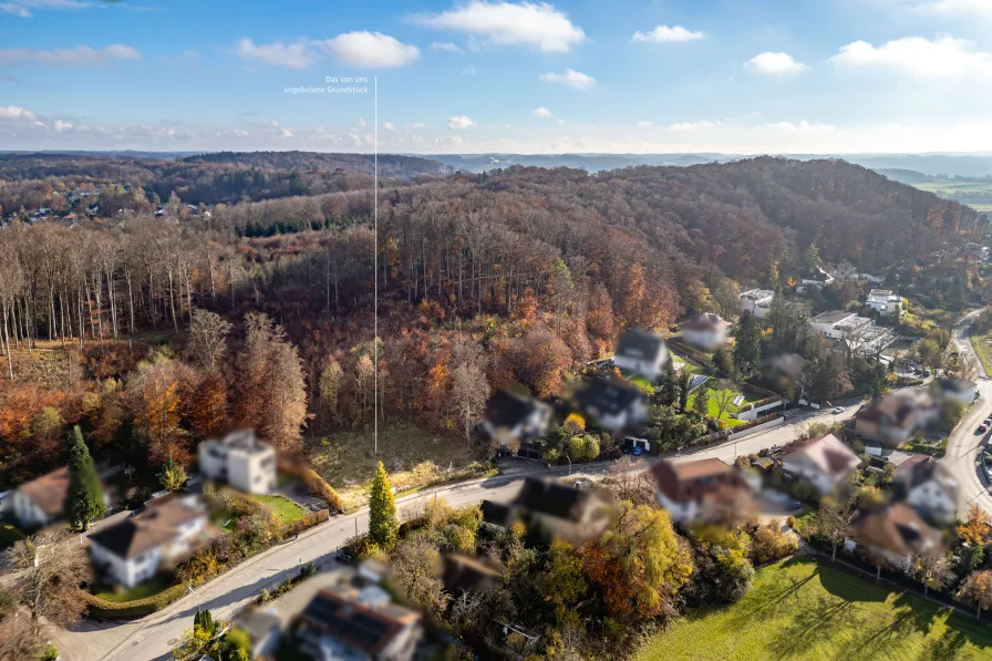 Naturnahe Lage zwischen Wald und See