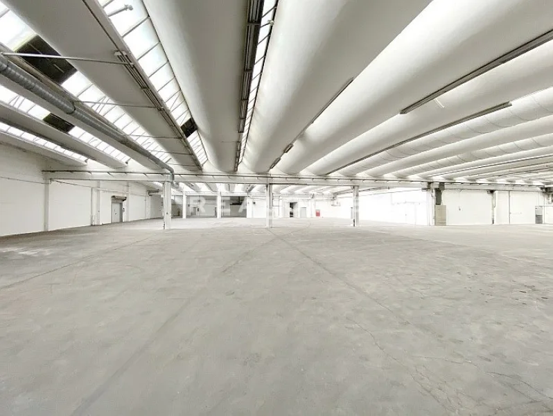 Innenansicht - Halle/Lager/Produktion mieten in Olching - Olching, ca. 4.135 m² Produktions-, Lager- und Logistikflächen mit bis zu 385 m² Büro zu vermieten