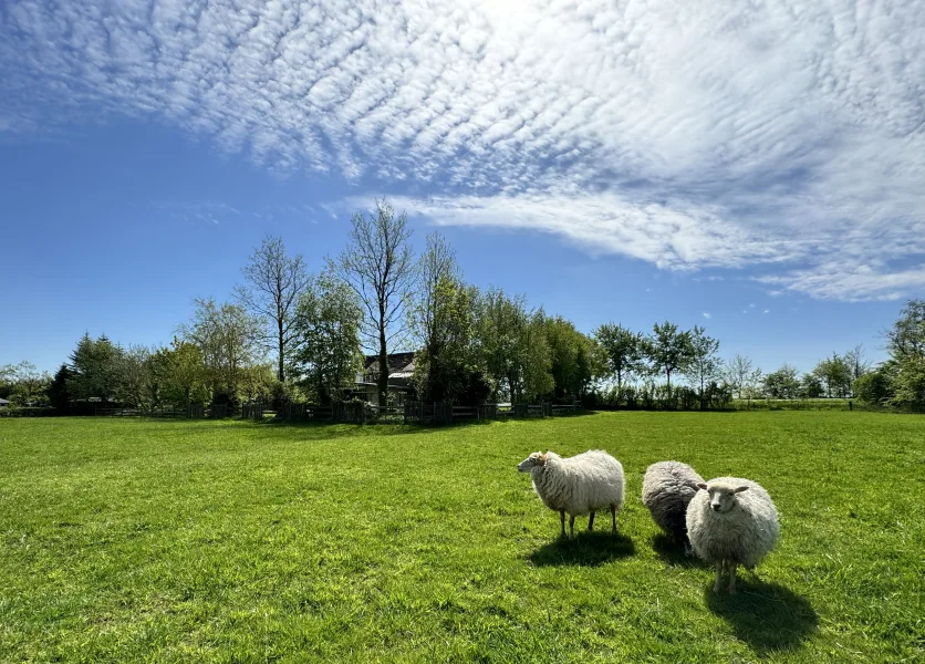 Landleben pur.