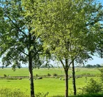 Ausblick aus dem Fenster über das Land