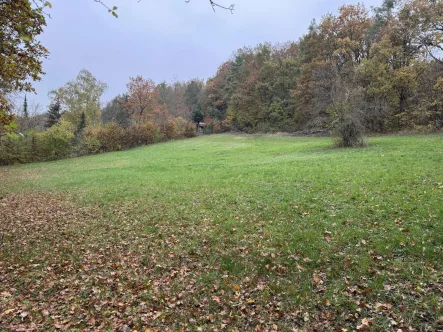  - Grundstück kaufen in Pettstadt - Freizeitgrundstück in sonniger Südlage von Pettstadt/ Distelberg