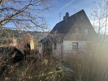 Ansicht - Haus kaufen in Villingen-Schwenningen - Einfamilienhaus mit 3 Garagen und großem Garten in VS-Mühlhausen !