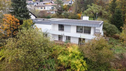 Außenansicht - Haus kaufen in Tuttlingen / Möhringen - Modernes Wohnen mit Charme - Einfamilienhaus mit Doppelgarage in ruhiger und ansprechender Lage von Tuttlingen-Möhringen Vorstadt!