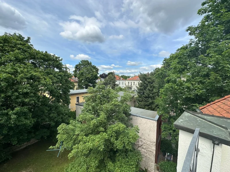 Blick von der Terrasse