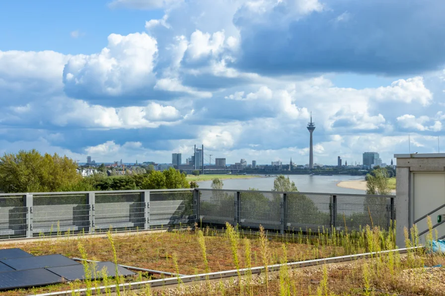 Panorama-Terrasse / 6. Obergeschoss