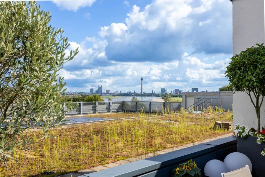 Panorama-Terrasse / 6. Obergeschoss