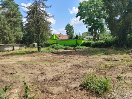 Blick nach Süden - Grundstück kaufen in Königs Wusterhausen - Großzügiges Baugrundstück