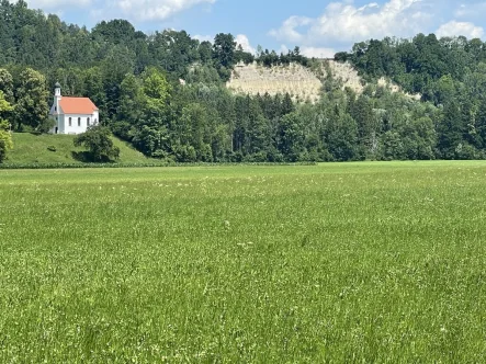 Direkter Ausblick©by Uwe Bauer - Grundstück kaufen in Denklingen / Epfach - SonnigesBaugrundstück in Epfach/Lkr.Denklingen