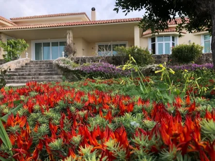 29 - Haus kaufen in Kubilay Caydamli Catalkoy, GIRNE - Preisgekrönte, nachhaltige und barrierefreie Villa in Nord-Zypern auf großem Grundstück mit Meerblick