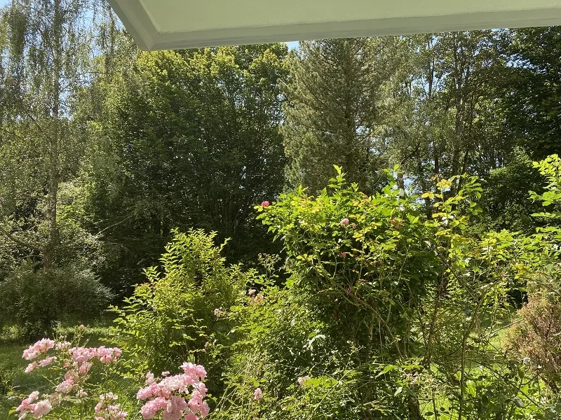 Blick von der Terrasse - Wohnung kaufen in München - 3-Zimmer-Wohnung direkt am Forstenrieder Park