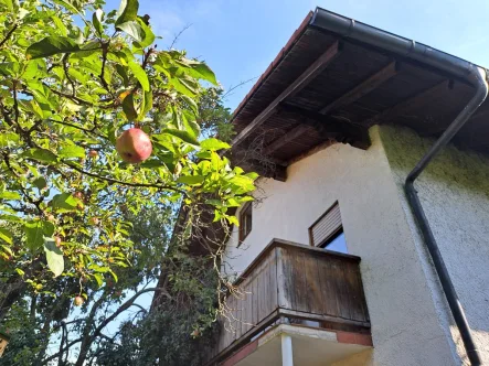 Hausansicht  - Haus kaufen in München - Haus auf attraktivem Grundstück im schönen Freimann