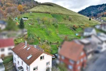 Gartengrundstück mit Kirschbäumen