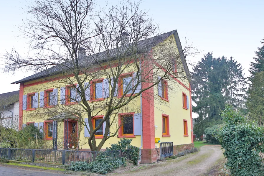 Vordere Hausansicht - Haus kaufen in Rheinau / Memprechtshofen - Ein charmant eingerichtetes und baubiologisch instand gehaltenes Einfamilienhaus