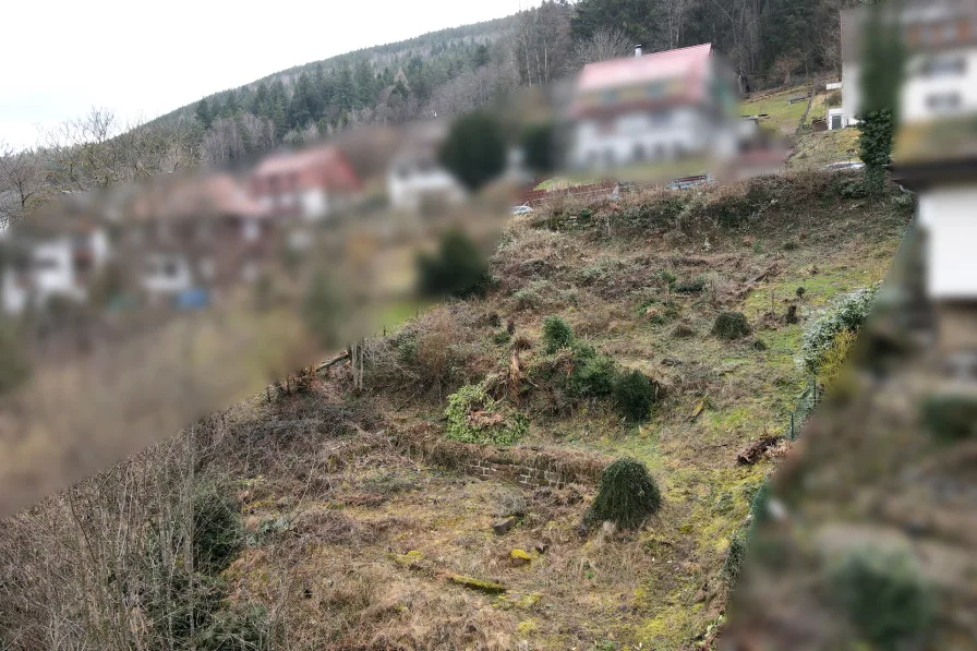 Ansicht Grundstück  von unten - Grundstück kaufen in Bad Wildbad - Baugrundstück mit Aussicht sucht neuen Besitzer
